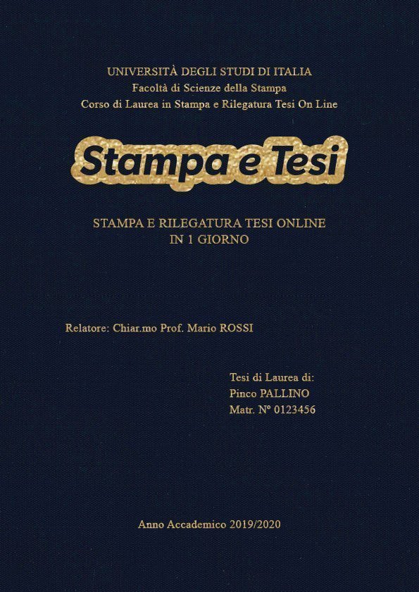 Seta Blu Oro LAYOUT 2 - Logo Centrato - Times New Roman