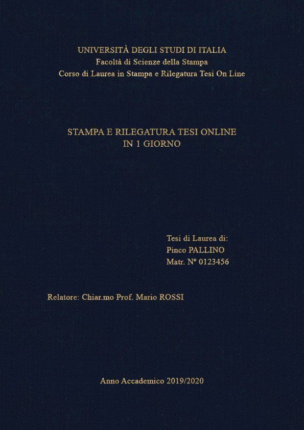 Seta Blu Oro LAYOUT 1 - Senza Logo - Times New Roman