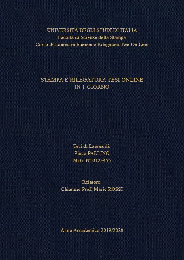 Seta Blu Oro LAYOUT 4 - Senza Logo - Times New Roman