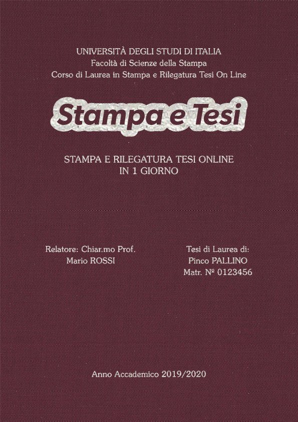 Seta Vinaccia Argento LAYOUT 3 - Logo Centrato - Souvenir 