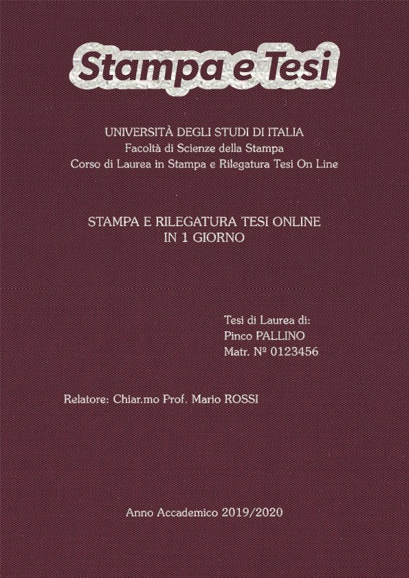 Seta Vinaccia Argento LAYOUT 1 - Logo in Alto - Souvenir 