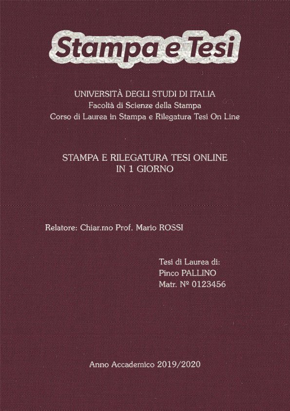 Seta Vinaccia Argento LAYOUT 2 - Logo in Alto - Souvenir 