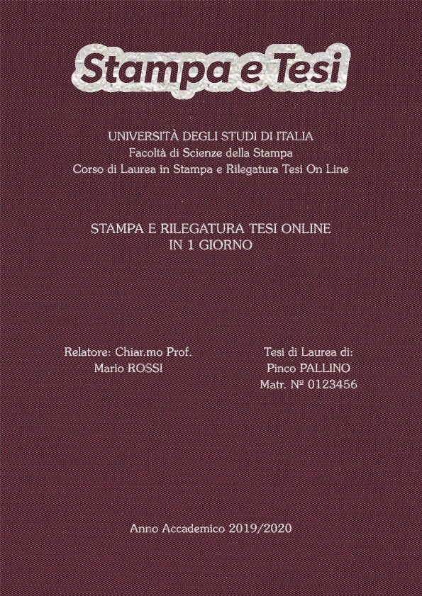 Seta Vinaccia Argento LAYOUT 3 - Logo in Alto - Souvenir 