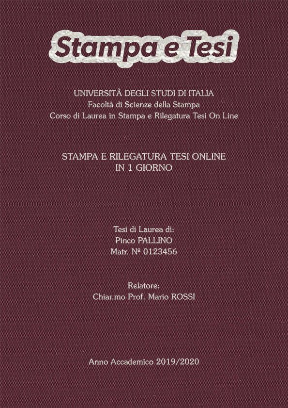 Seta Vinaccia Argento LAYOUT 4 - Logo in Alto - Souvenir 