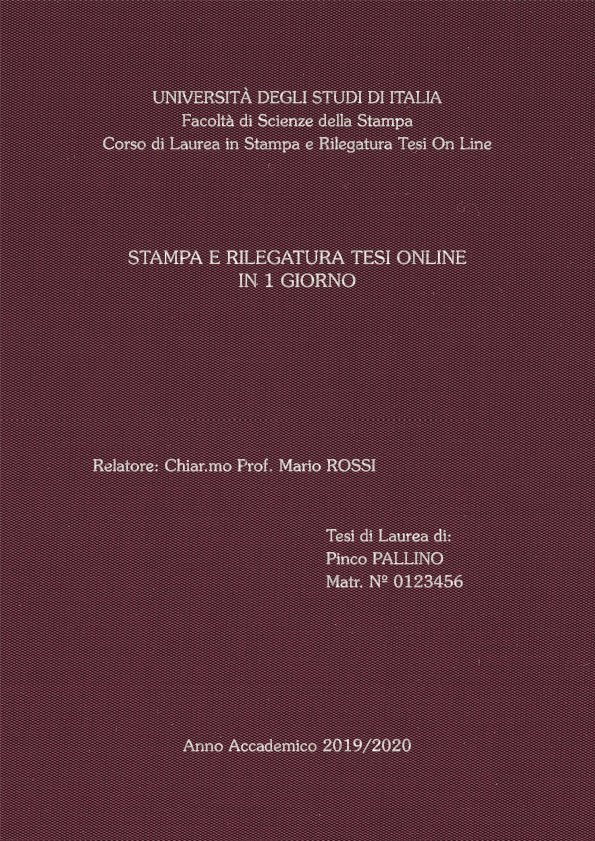 Seta Vinaccia Argento LAYOUT 2 - Senza Logo - Souvenir