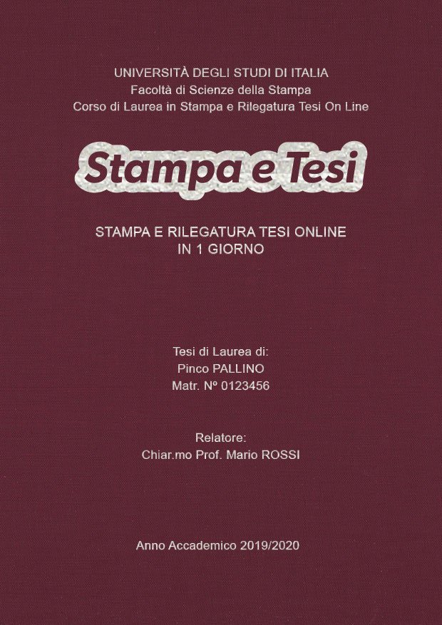 Seta Vinaccia Argento LAYOUT 4 - Logo Centrato - Arial