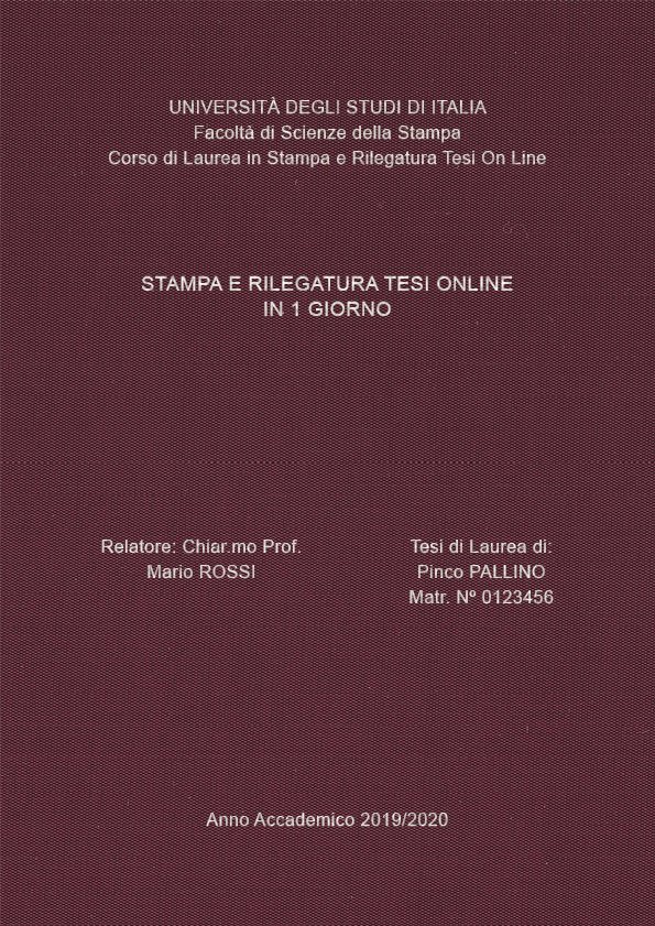 Seta Vinaccia Argento LAYOUT 3 - Senza Logo - Arial