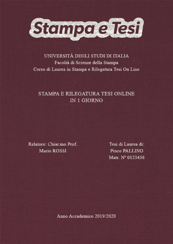 Seta Vinaccia Argento LAYOUT 3 - Logo in Alto - Times New Roman