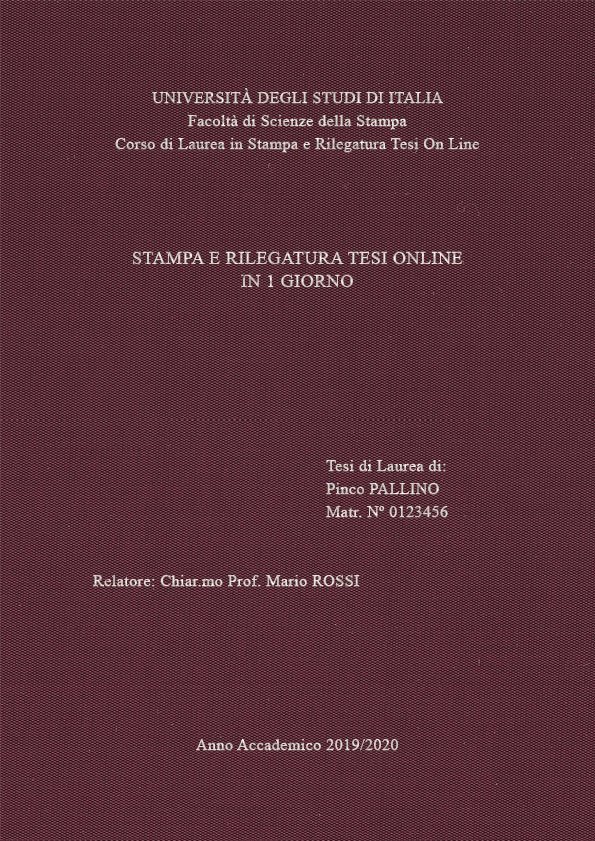 Seta Vinaccia Argento LAYOUT 1 - Senza Logo - Times New Roman