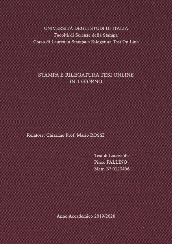 Seta Vinaccia Argento LAYOUT 2 - Senza Logo - Times New Roman