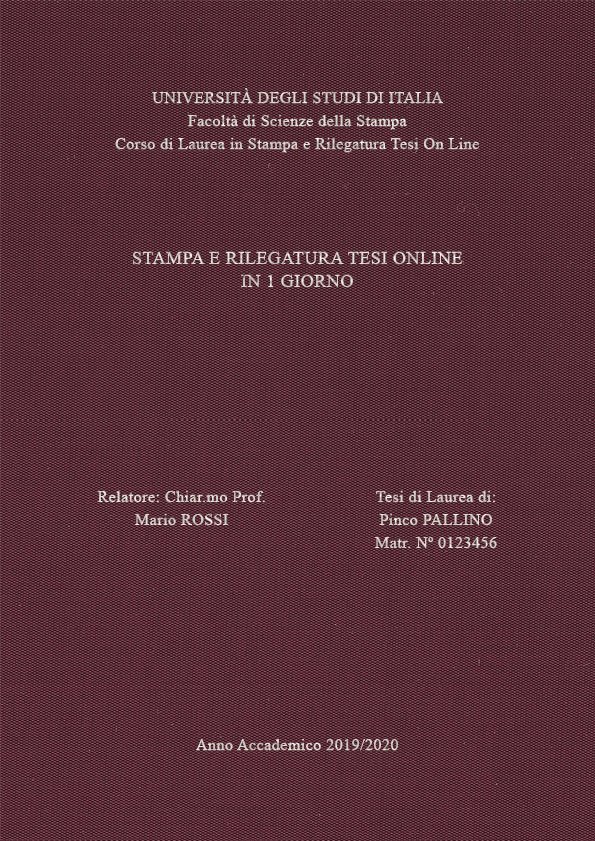 Seta Vinaccia Argento LAYOUT 3 - Senza Logo - Times New Roman