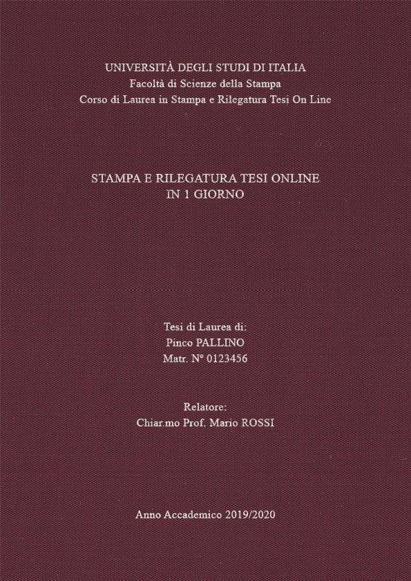 Seta Vinaccia Argento LAYOUT 4 - Senza Logo - Times New Roman