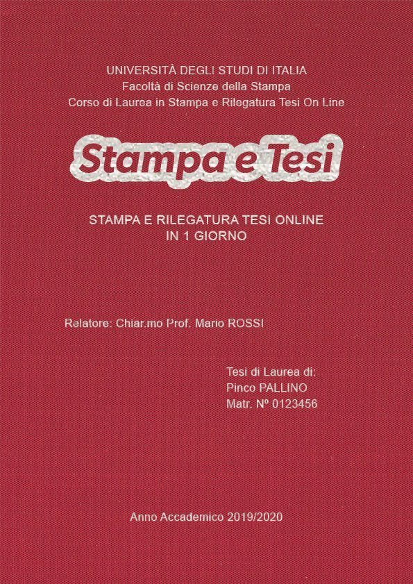 Seta Cardinale Argento LAYOUT 2 - Logo Centrato - Arial