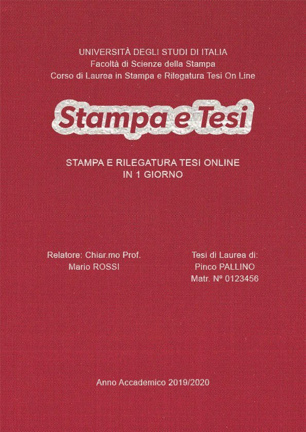 Seta Cardinale Argento LAYOUT 3 - Logo Centrato - Arial