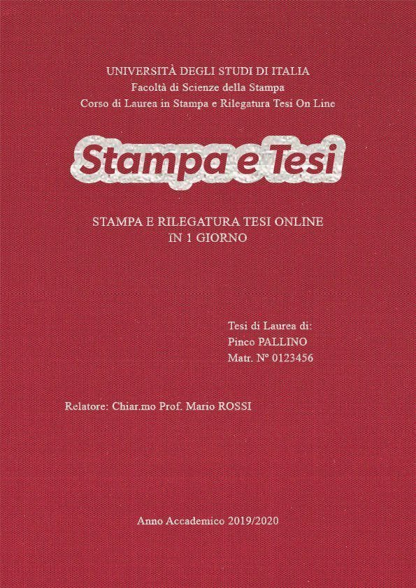 Seta Cardinale Argento LAYOUT 1 - Logo Centrato - Times New Roman