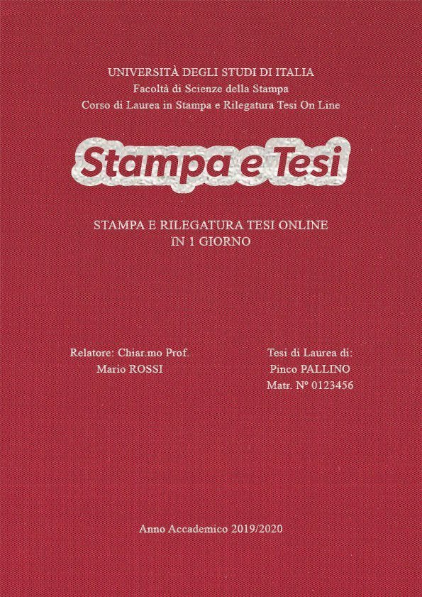 Seta Cardinale Argento LAYOUT 3 - Logo Centrato - Times New Roman