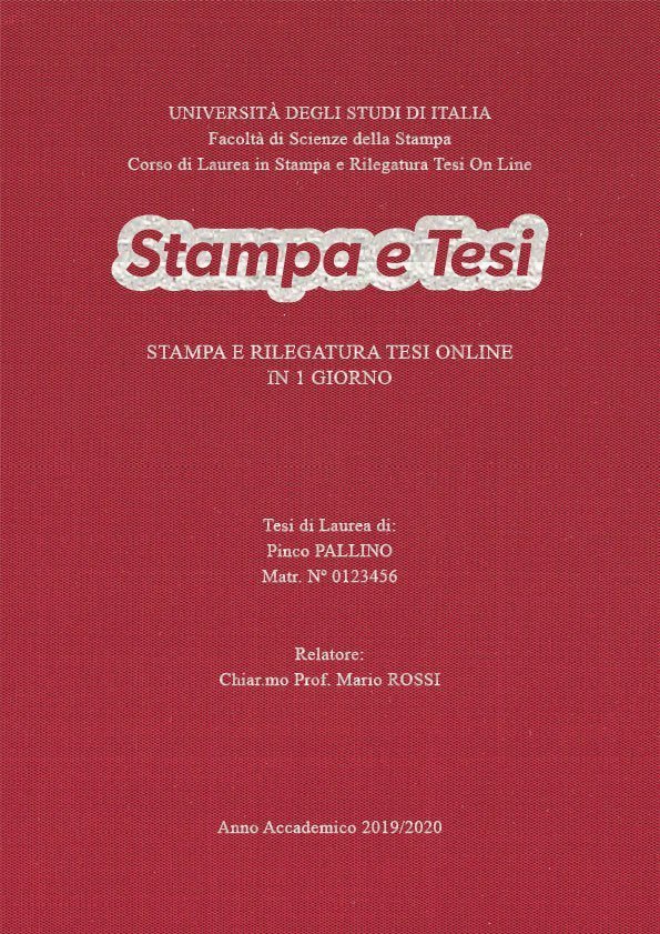 Seta Cardinale Argento LAYOUT 4 - Logo Centrato - Times New Roman