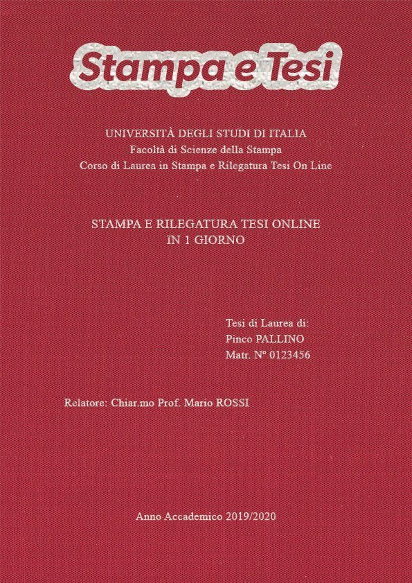 Seta Cardinale Argento LAYOUT 1 - Logo in Alto - Times New Roman