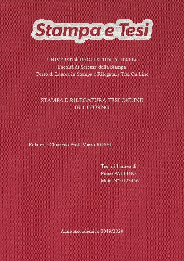 Seta Cardinale Argento LAYOUT 2 - Logo in Alto - Times New Roman