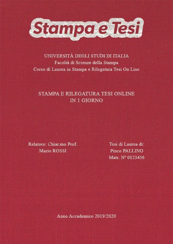 Seta Cardinale Argento LAYOUT 3 - Logo in Alto - Times New Roman