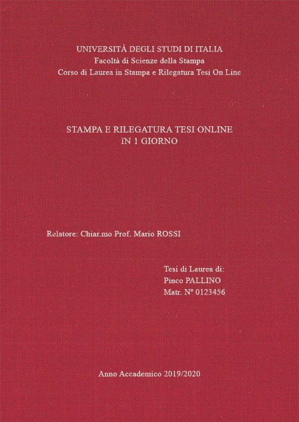 Seta Cardinale Argento LAYOUT 2 - Senza Logo - Times New Roman