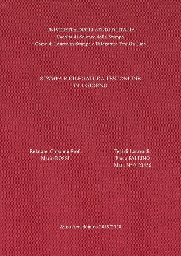 Seta Cardinale Argento LAYOUT 3 - Senza Logo - Times New Roman