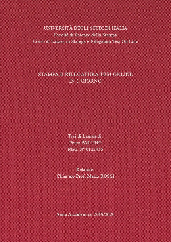 Seta Cardinale Argento LAYOUT 4 - Senza Logo - Times New Roman