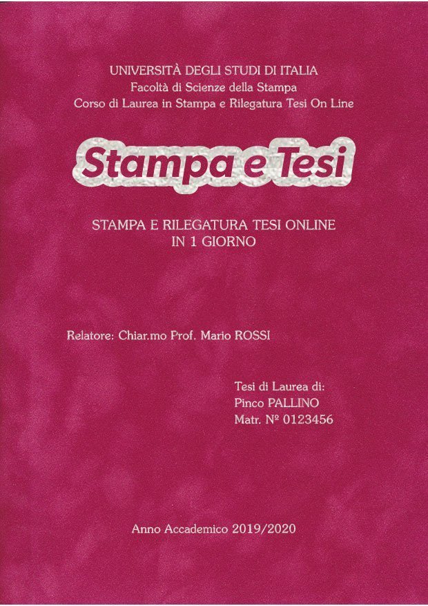 Velluto Fucsia Argento LAYOUT 2 - Logo Centrato - Souvenir