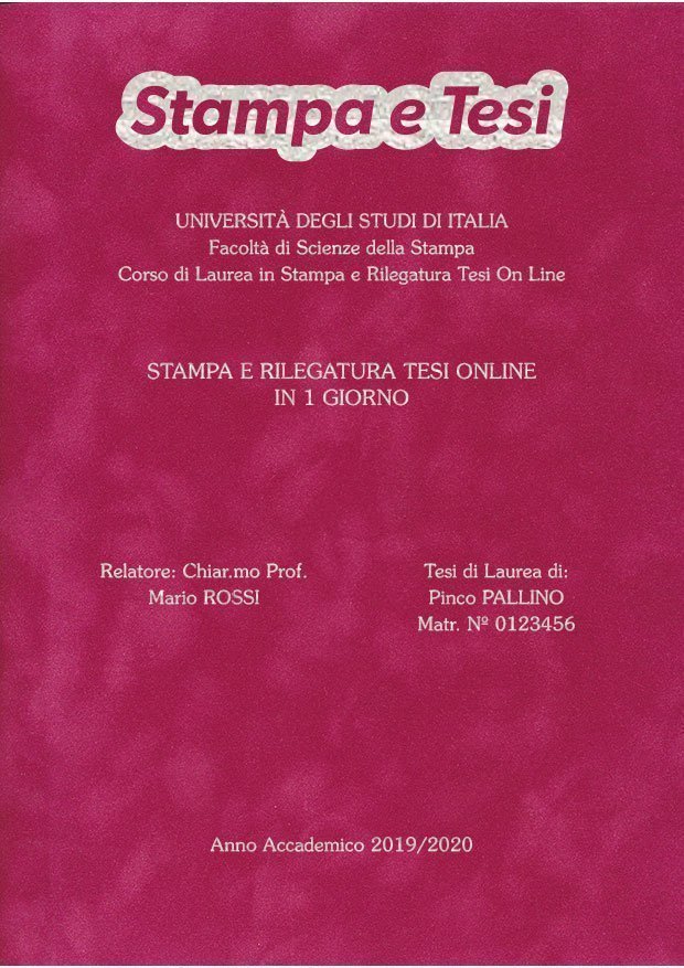 Velluto Fucsia Argento LAYOUT 3 - Logo in Alto - Souvenir 