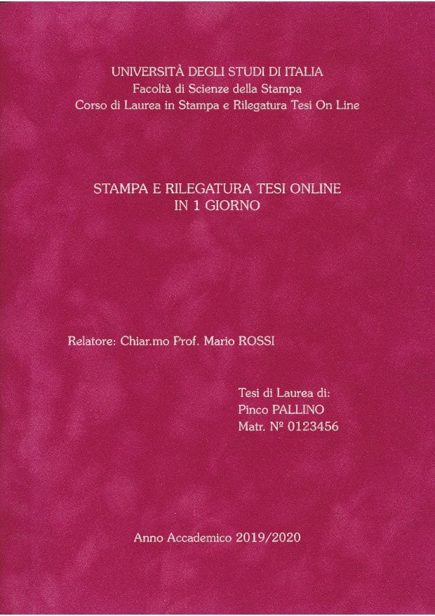 Velluto Fucsia Argento LAYOUT 2 - Senza Logo - Souvenir