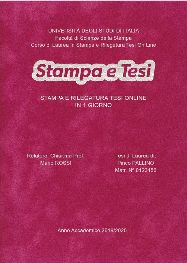 Velluto Fucsia Argento LAYOUT 3 - Logo Centrato - Arial