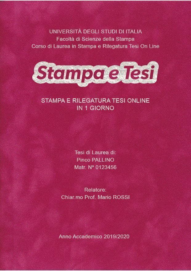 Velluto Fucsia Argento LAYOUT 4 - Logo Centrato - Arial