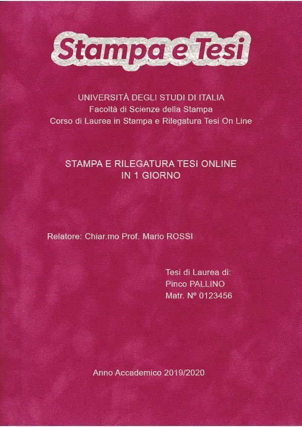 Velluto Fucsia Argento LAYOUT 2 - Logo in Alto - Arial