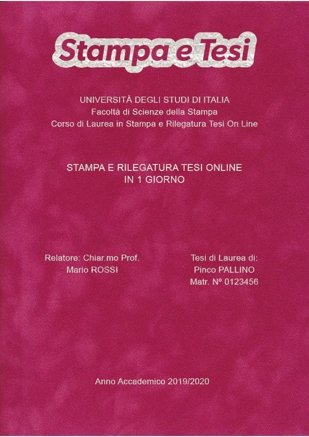 Velluto Fucsia Argento LAYOUT 3 - Logo in Alto - Arial