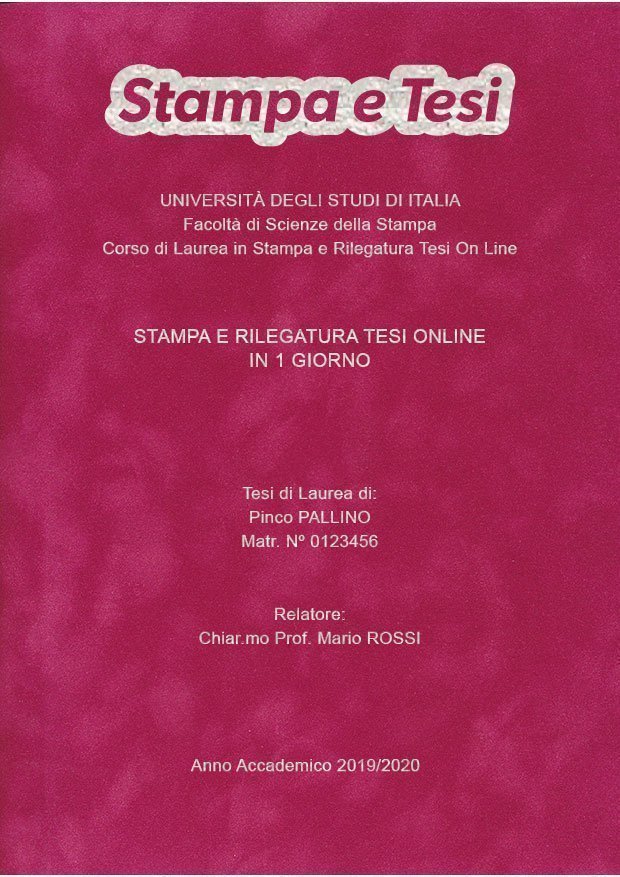 Velluto Fucsia Argento LAYOUT 4 - Logo in Alto - Arial