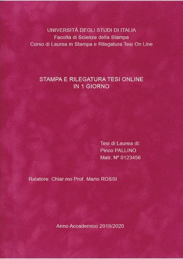 Velluto Fucsia Argento LAYOUT 1 - Senza Logo - Arial