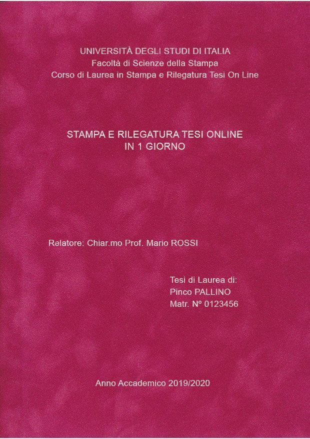 Velluto Fucsia Argento LAYOUT 2 - Senza Logo - Arial