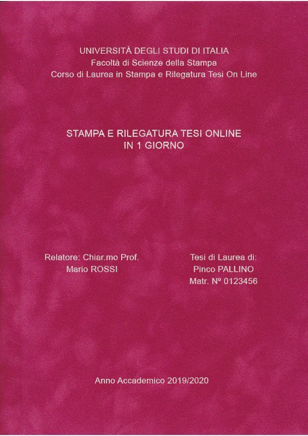 Velluto Fucsia Argento LAYOUT 3 - Senza Logo - Arial