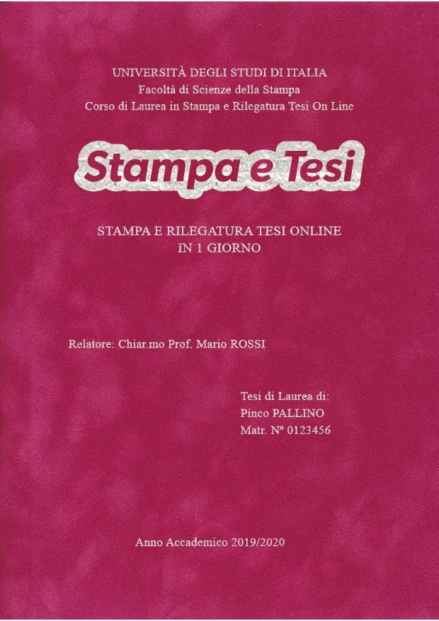 Velluto Fucsia Argento LAYOUT 2 - Logo Centrato - Times New Roman