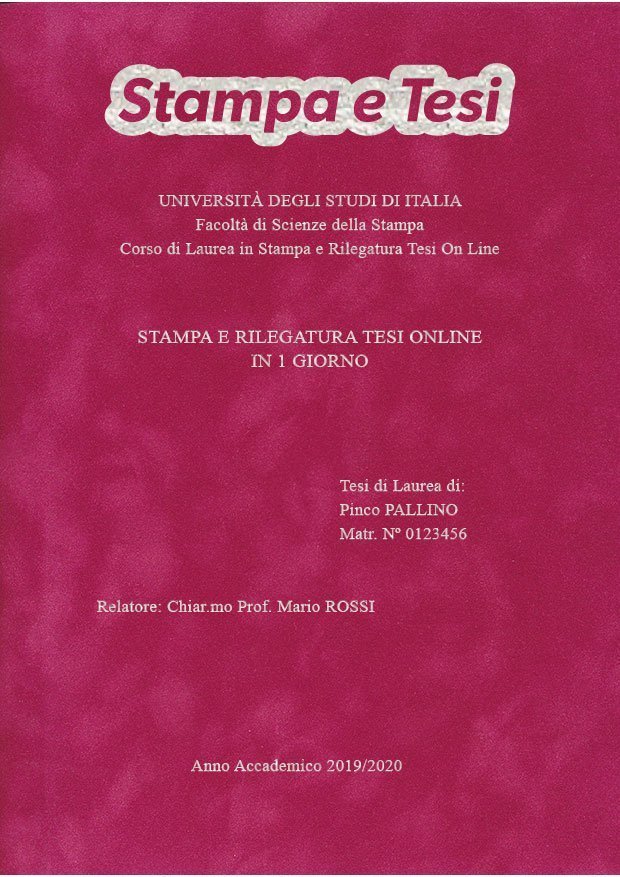 Velluto Fucsia Argento LAYOUT 1 - Logo in Alto - Times New Roman