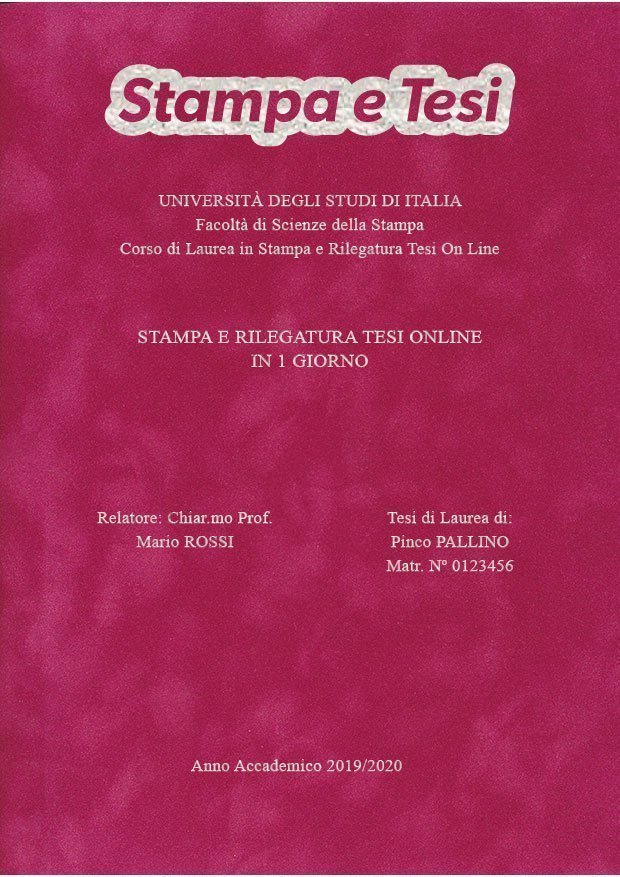 Velluto Fucsia Argento LAYOUT 3 - Logo in Alto - Times New Roman
