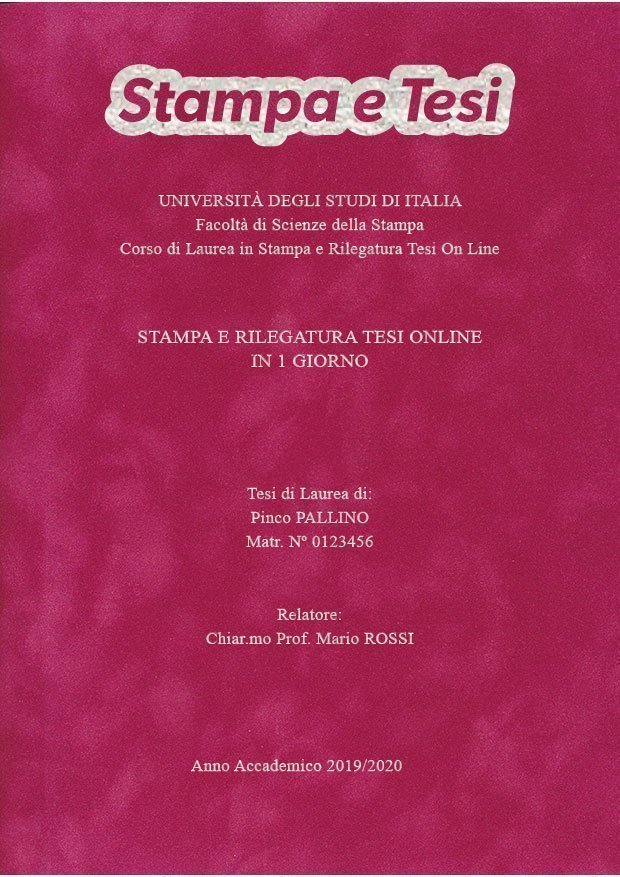 Velluto Fucsia Argento LAYOUT 4 - Logo in Alto - Times New Roman