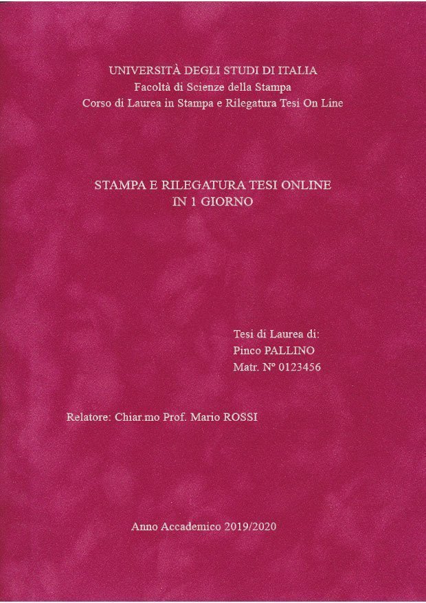 Velluto Fucsia Argento LAYOUT 1 - Senza Logo - Times New Roman
