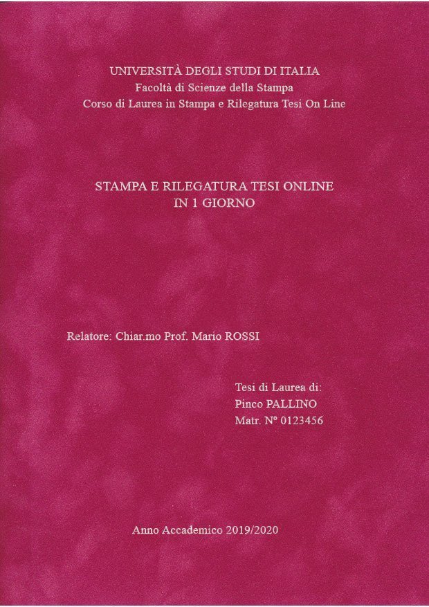 Velluto Fucsia Argento LAYOUT 2 - Senza Logo - Times New Roman