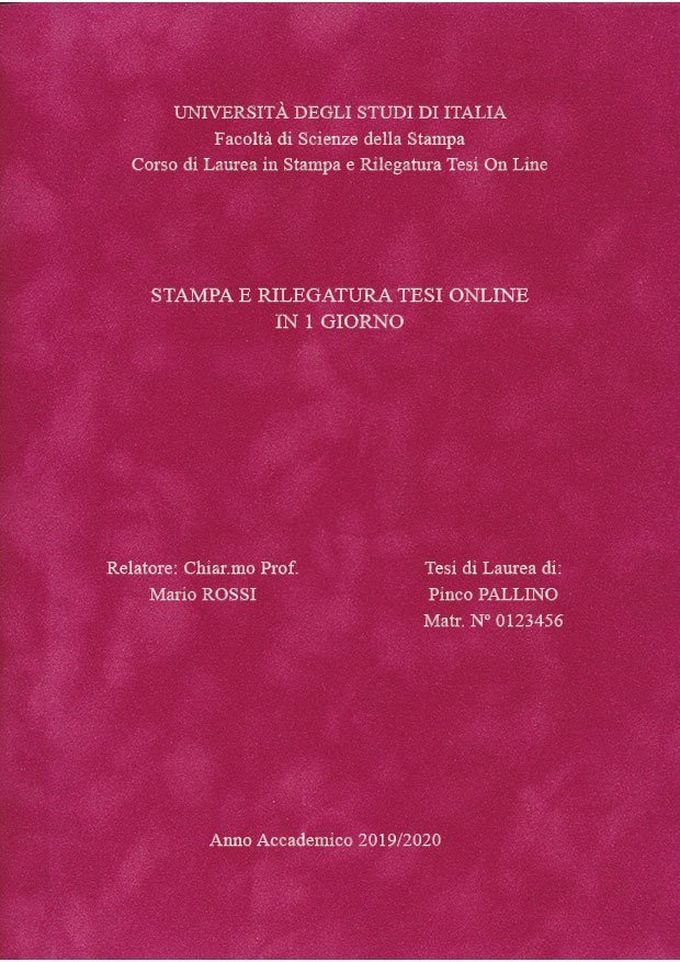 Velluto Fucsia Argento LAYOUT 3 - Senza Logo - Times New Roman