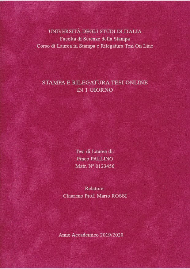 Velluto Fucsia Argento LAYOUT 4 - Senza Logo - Times New Roman