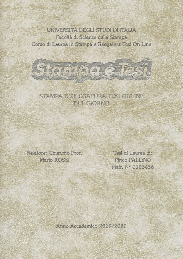 Similpelle Venata Bianco Argento LAYOUT 3 - Logo Centrato - Souvenir 