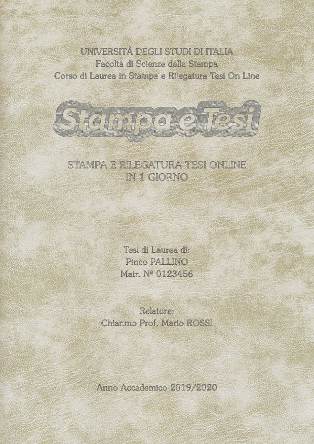 Similpelle Venata Bianco Argento LAYOUT 4 - Logo Centrato - Souvenir 