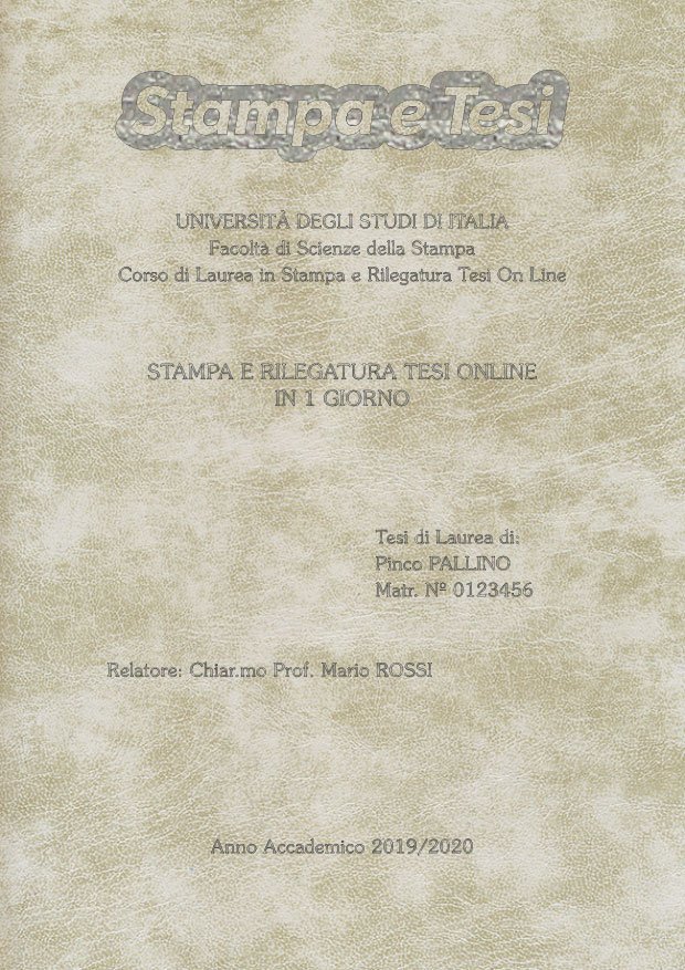 Similpelle Venata Bianco Argento LAYOUT 1 - Logo in Alto - Souvenir 