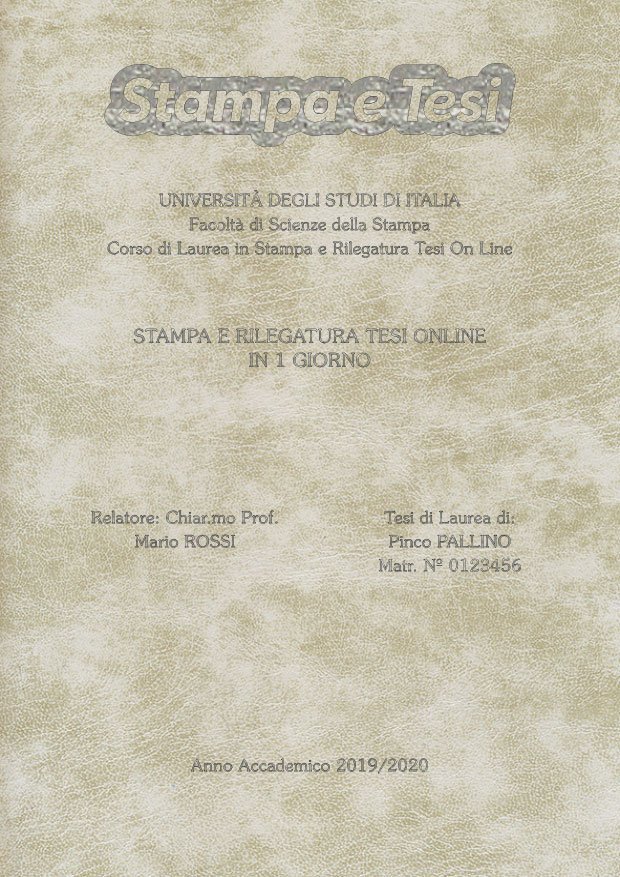 Similpelle Venata Bianco Argento LAYOUT 3 - Logo in Alto - Souvenir 